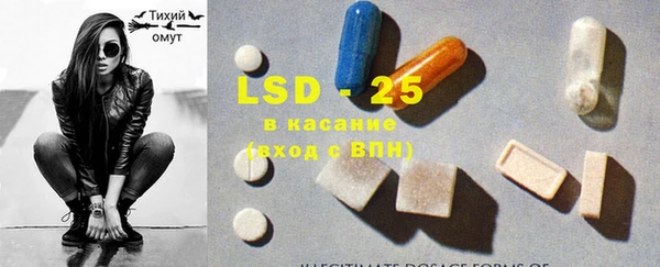 PSILOCYBIN Корсаков
